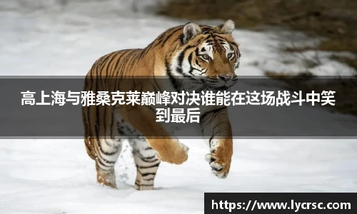 今年会官网